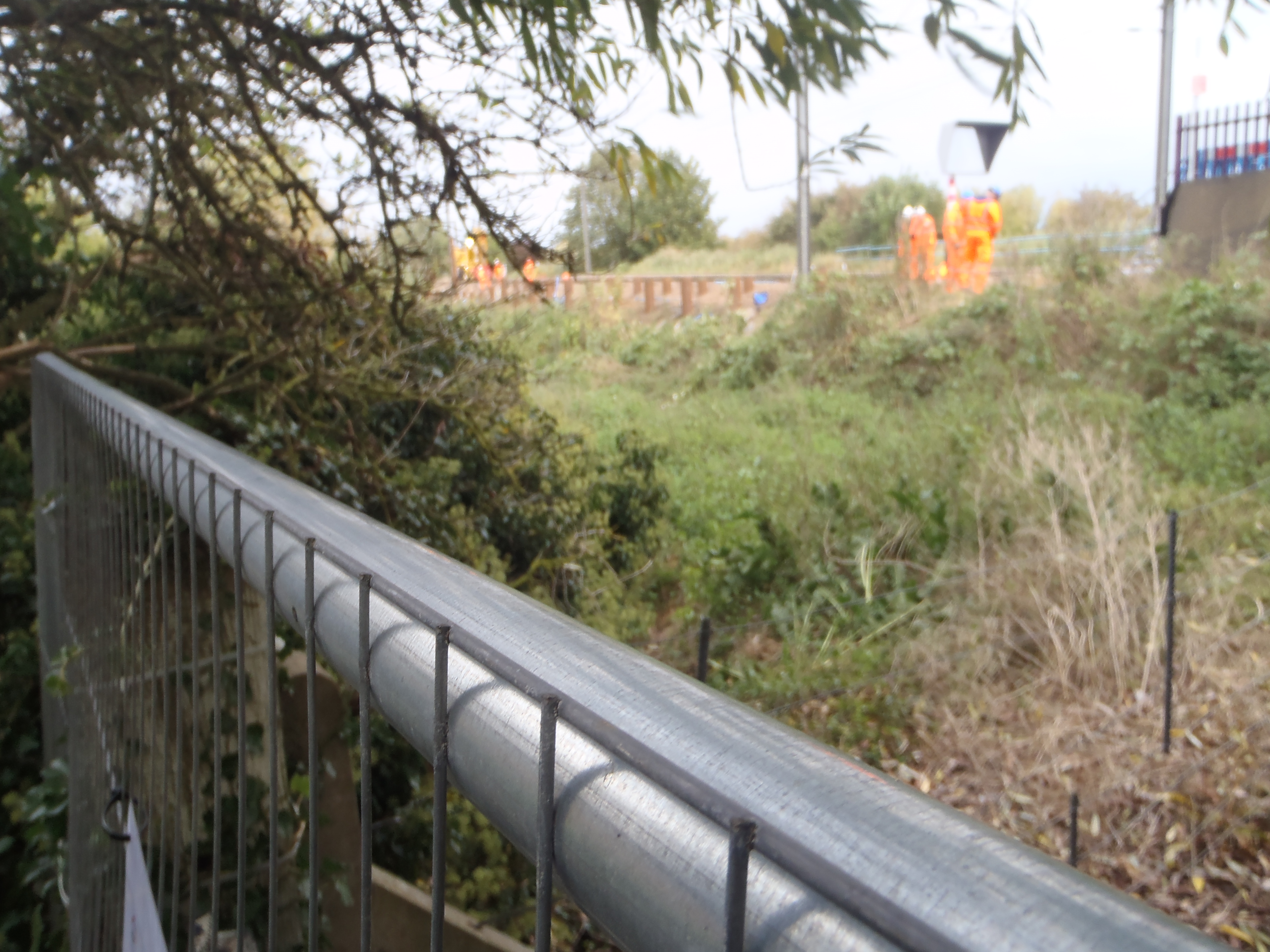 from lode