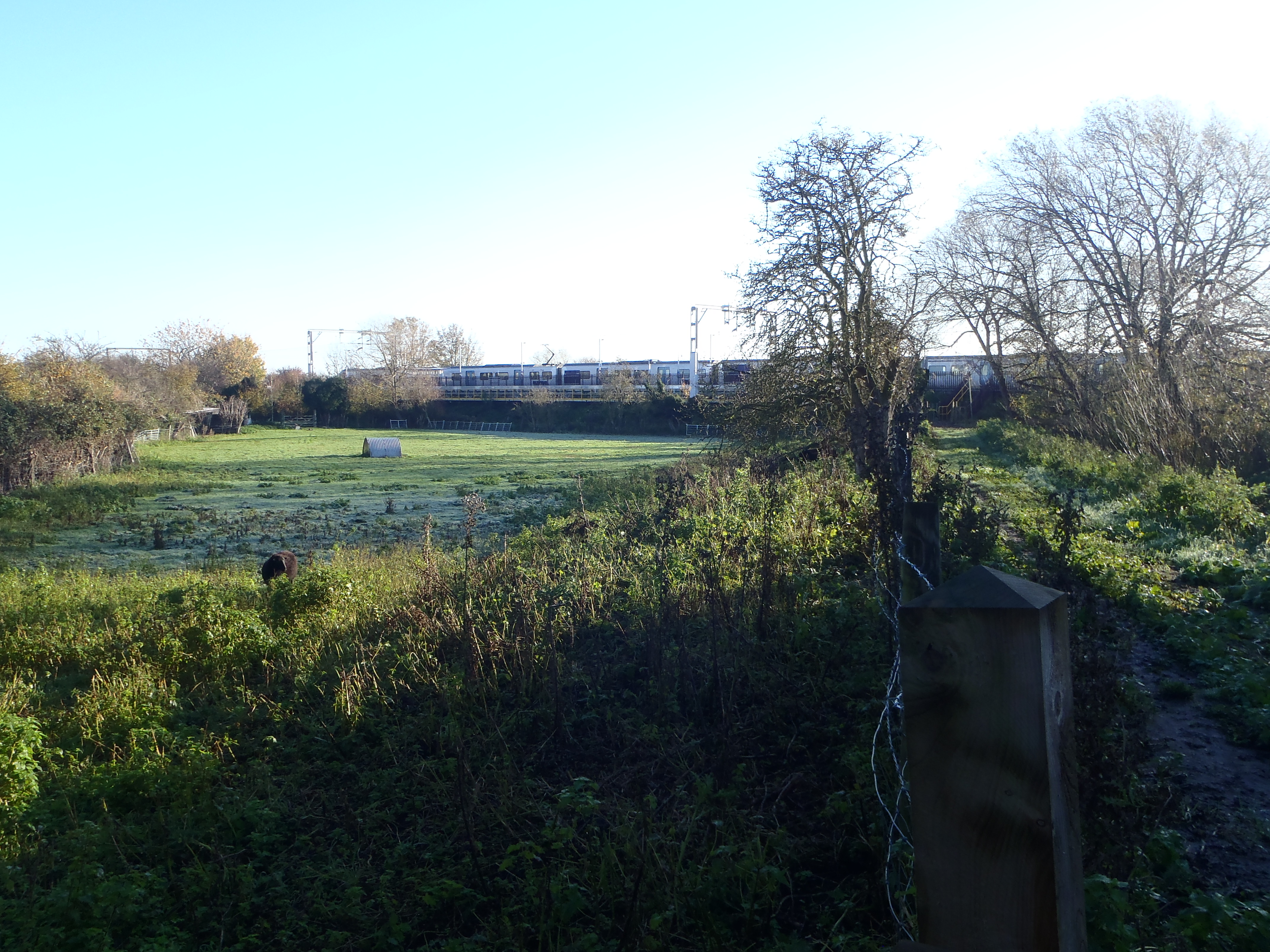looking across Town Holt West; photo: John Grant